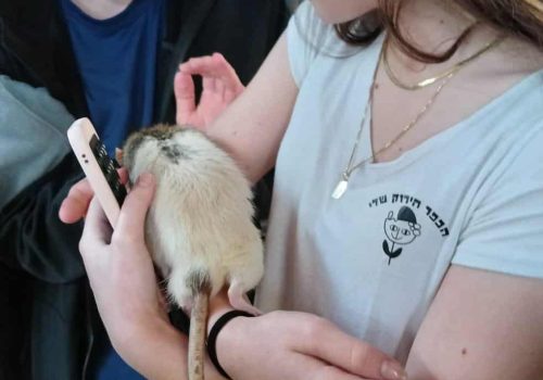 0050cb37-635b-43d8-893a-9c74040d2c8f