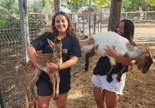 0c949d48-35c9-466e-9b5b-806f34689a86