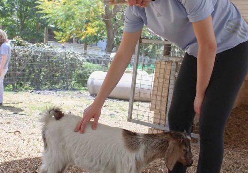 11b6df69-dbf8-4915-9eeb-ba7df8710c37