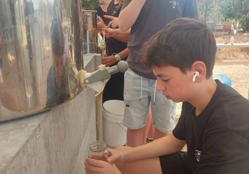 36ab0ea7-7c7d-4e79-9031-1fbf9af2eb93