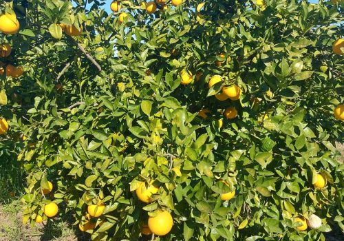 a667a059-e405-4f24-a04e-4f25bf86bded