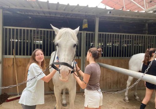 b3e3d6d8-609f-4ab5-a85a-45848ad47080