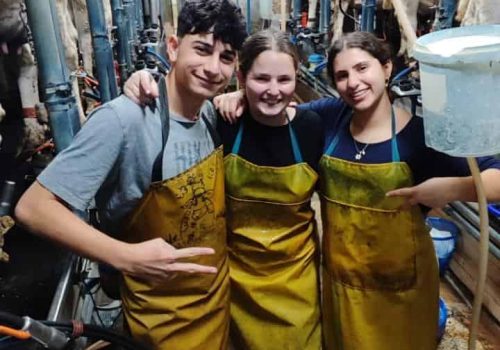 b4dce83d-53b8-40af-a5d5-ace5eaa24fe0