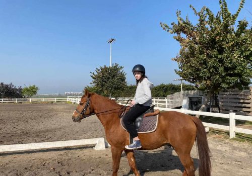 ded3a1e1-fd15-4c35-a039-6dcde87a4cff