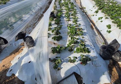 e09d6d3e-0472-417c-90ea-da6a24f96bac