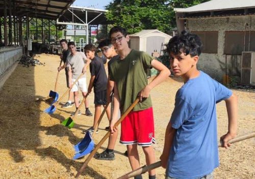 e807a896-d5a1-4f17-a67b-07314dca7bc2