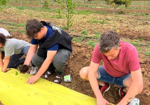 fe1a11b5-e785-464b-81f6-553c9d847da7